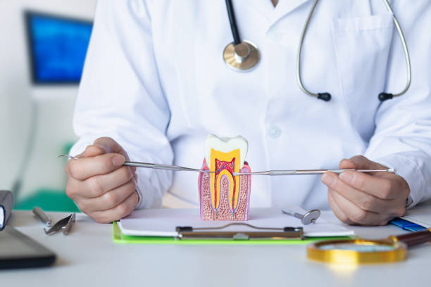 Best Emergency Root Canal Treatment in Bealeton, VA